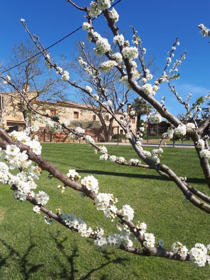 Masia Rural Can Poch Pals Exterior foto